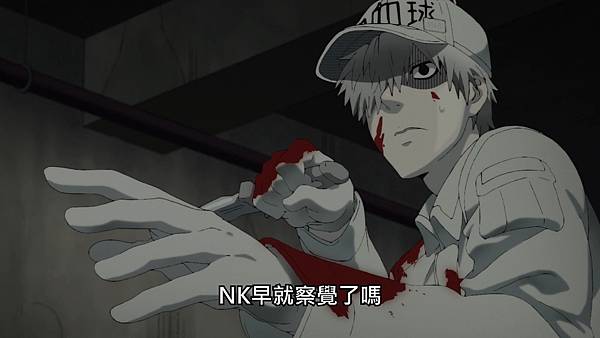 6 NK function.jpg 6 NK function.jpg