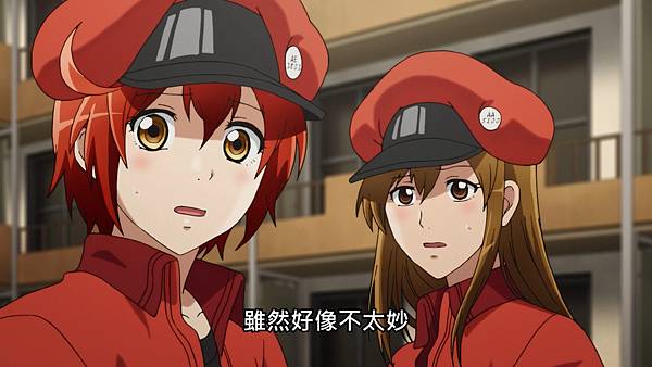 L8 紅血球邏輯2.jpg L8 紅血球邏輯2.jpg