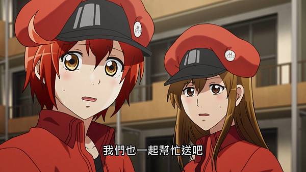 L8 紅血球邏輯3.jpg L8 紅血球邏輯3.jpg