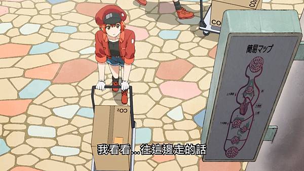 0 血循總圖.jpg 0 血循總圖.jpg