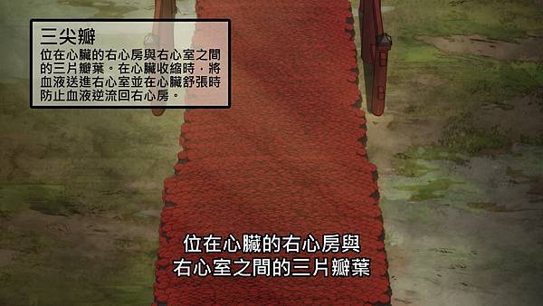 1 右心三尖瓣.jpg 1 右心三尖瓣.jpg