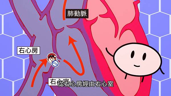 1 右心.jpg 1 右心.jpg