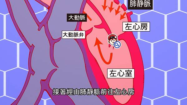 1 左心.jpg 1 左心.jpg