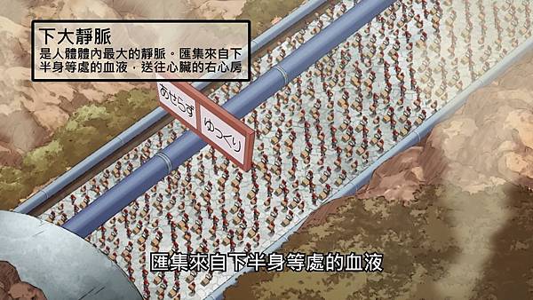 2 下大靜脈.jpg 2 下大靜脈.jpg