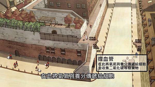 2 微血管.jpg 2 微血管.jpg