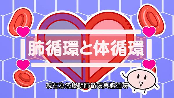 4 循環.jpg 4 循環.jpg