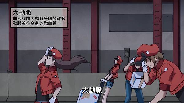 2 大動脈.jpg 2 大動脈.jpg