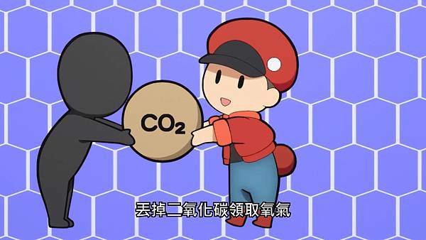 4-1肺循環.jpg 4-1肺循環.jpg