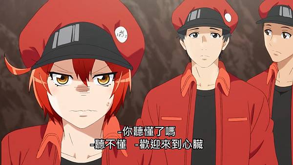 L1 紅血球素質.jpg L1 紅血球素質.jpg