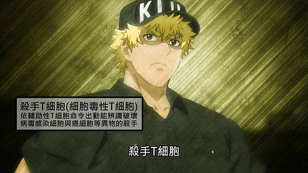 2 胞毒T細胞.jpg 2 胞毒T細胞.jpg