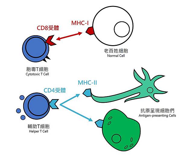 MHC-CD.jpg MHC-CD.jpg