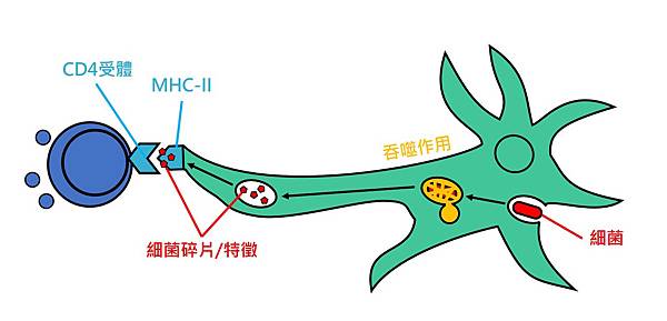 AP detail.jpg AP detail.jpg