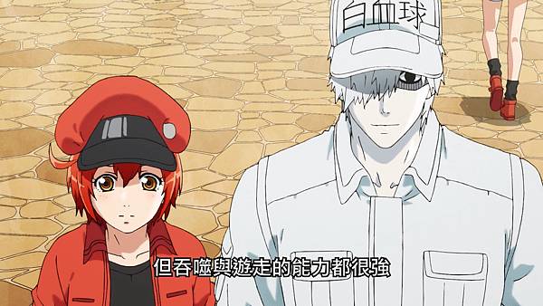 1 單核球性質.jpg 1 單核球性質.jpg