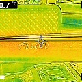 FLIR0141.jpg