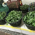 花蓮之旅 244.JPG