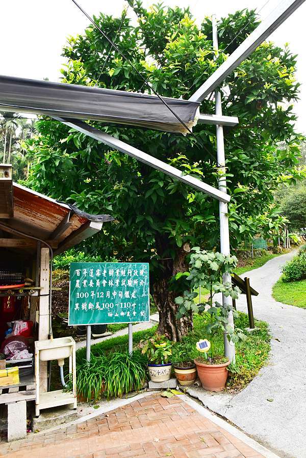 露營78嘉義梅山 芳秀露營區 3天3夜 過年假期 小豬家庭的部落格 痞客邦