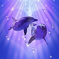 DolphinLove