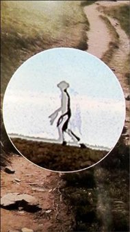 嘉明湖有外星人？