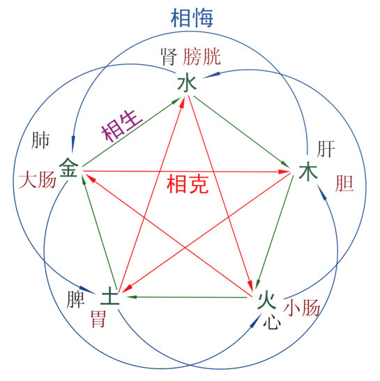 五行與內臟的相生相剋.jpg