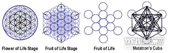 柏拉圖立體╴Platonic solids.jpg