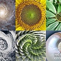 在宇宙中,有些「模组」是自然形成的,我们可以在生命、银河系、星宿,万物进化里找到这个「模组」,几乎所有自然系统里都可以找到。有些「模组」还是「黄金比例」和「神圣几何」.jpg