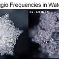 水结晶实验,不同频率的声音对水结晶的影响.jpg