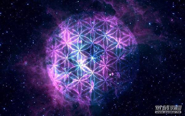 The Flower of Life 生命之花.jpg