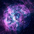 The Flower of Life 生命之花.jpg