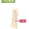 太衝穴.jpg
