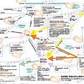 陰謀集團-深層政府的主要黑市交易路線.jpg