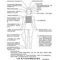 電磁波對人體影響1.png