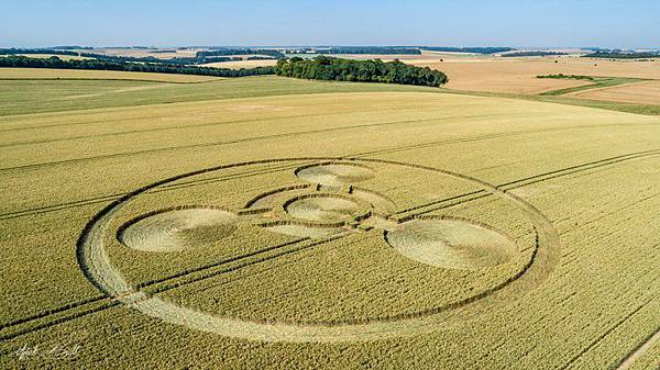 2018-7-8 英國威爾特郡警告意味濃厚的麥田圈6.jpg
