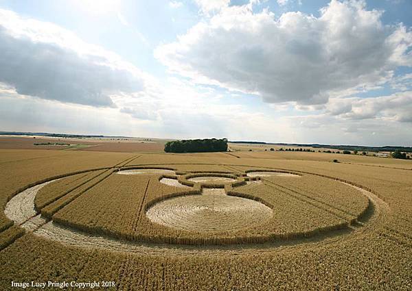 2018-7-8 英國威爾特郡警告意味濃厚的麥田圈9.jpg