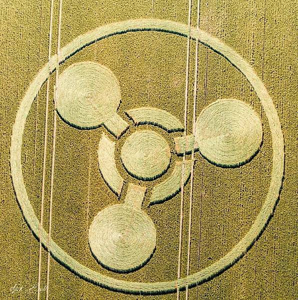 2018-7-8 英國威爾特郡警告意味濃厚的麥田圈3.jpg