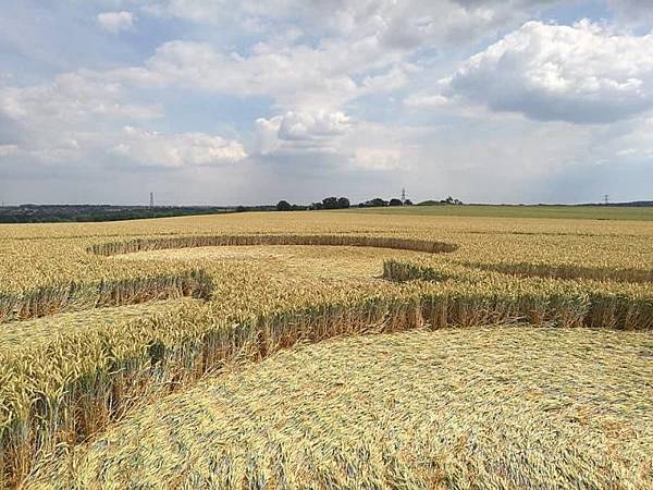 2018-7-8 英國威爾特郡警告意味濃厚的麥田圈10.jpg