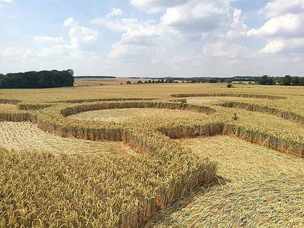 2018-7-8 英國威爾特郡警告意味濃厚的麥田圈12.jpg