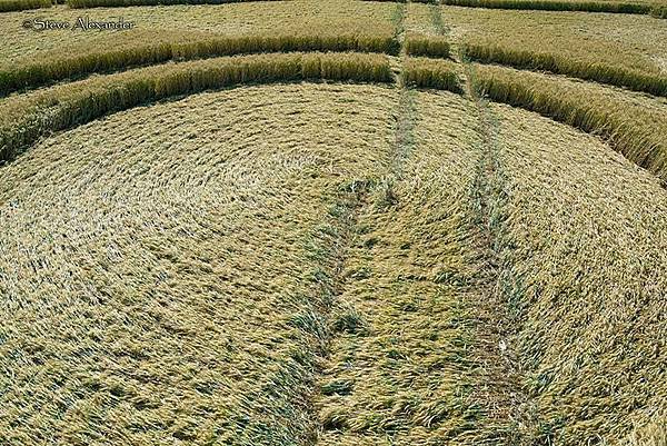 2018-7-10 英國漢普郡九重幾何形狀的麥田圈10.jpg