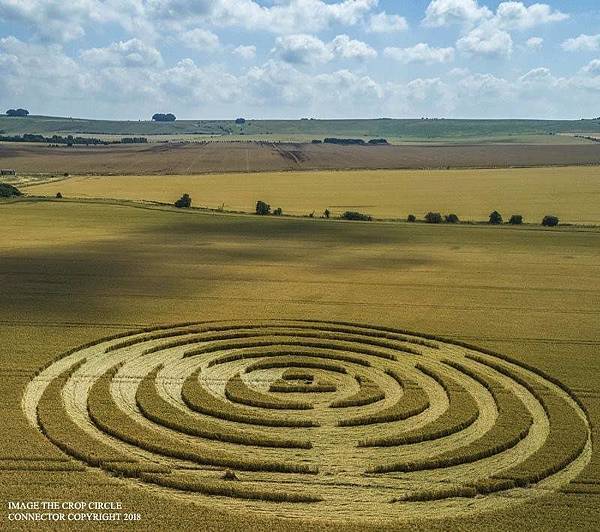 2018-7-14 英國威爾特郡宛如輻射狀的麥田圈2.jpg