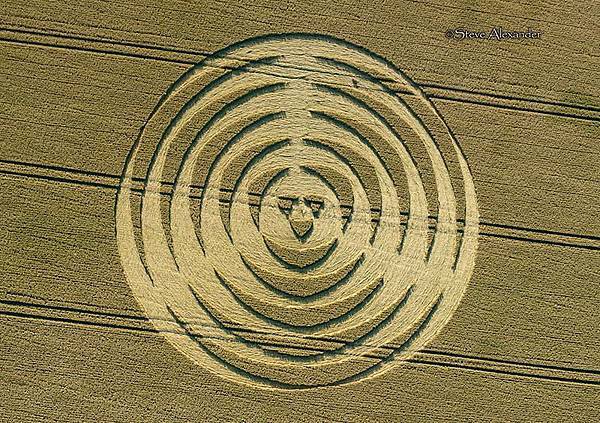 2018-7-14 英國威爾特郡宛如輻射狀的麥田圈3.jpg