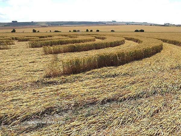 2018-7-14 英國威爾特郡宛如輻射狀的麥田圈6.jpg
