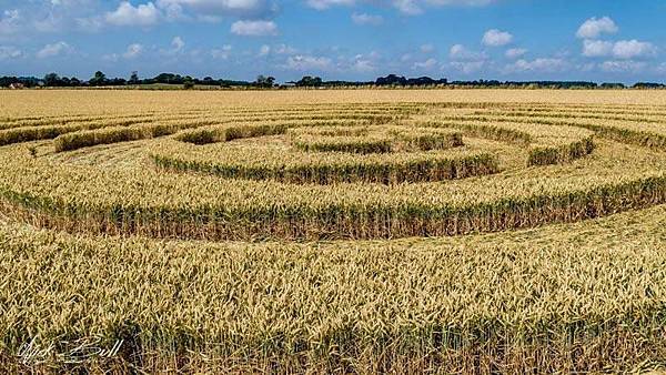 2018-7-14 英國威爾特郡宛如輻射狀的麥田圈9.jpg