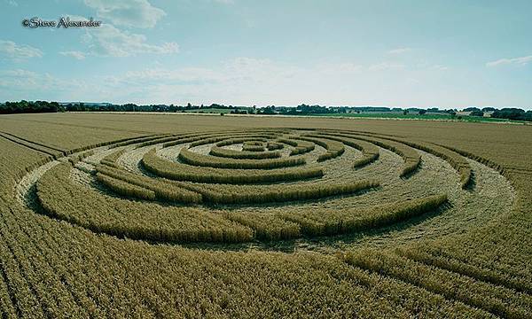 2018-7-14 英國威爾特郡宛如輻射狀的麥田圈10.jpg