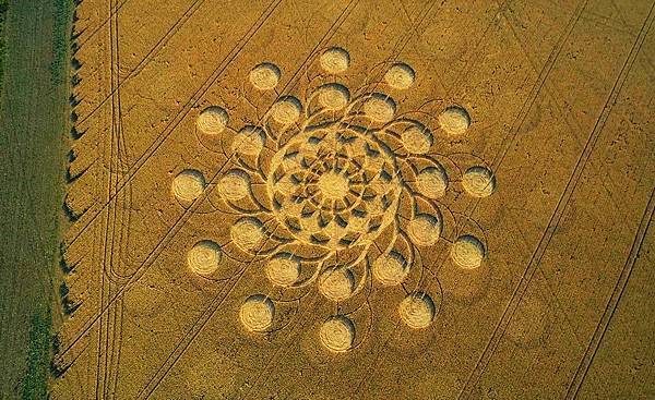 2018-7-14 金威斯頓芒科姆山附近巨大麥田圈1.jpg