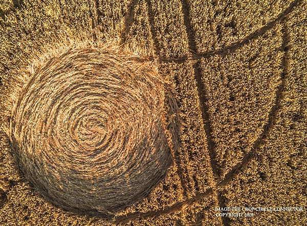 2018-7-14 金威斯頓芒科姆山附近巨大麥田圈8.jpg