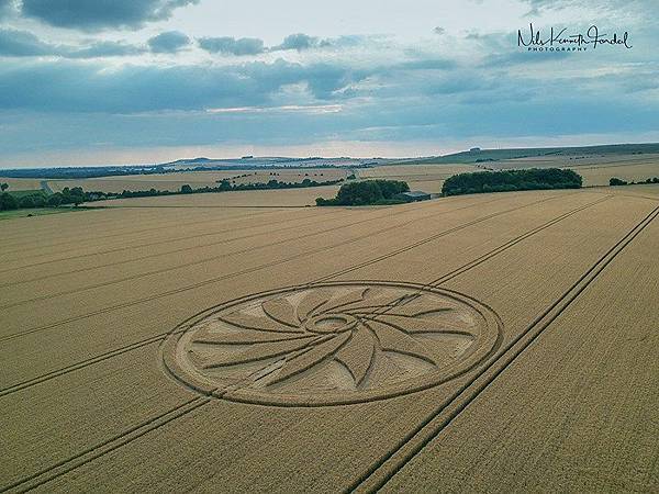 2018-7-21 英國威爾特郡如12瓣紙風車的麥田圈2.jpg