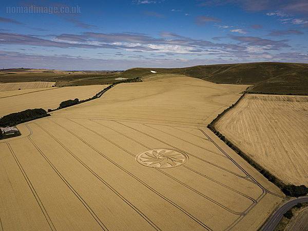 2018-7-21 英國威爾特郡如12瓣紙風車的麥田圈3.jpg