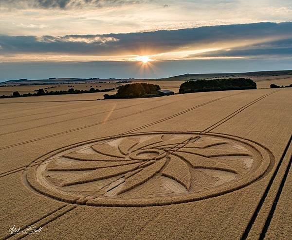 2018-7-21 英國威爾特郡如12瓣紙風車的麥田圈4.jpg