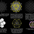 下面這些圖形說明了什麼是向量平衡，它如何與生命之花以及星系光網格匹配起來2.png