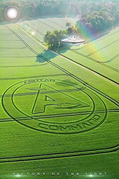 最後戰役5 Dish.jpg