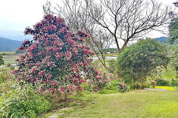 2016.02.19夢園07.jpg